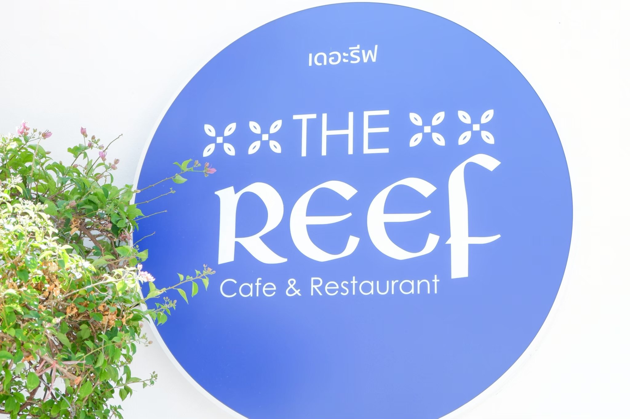 The Reef Café & Restaurant Phuket — Phuket Smart Bus destination